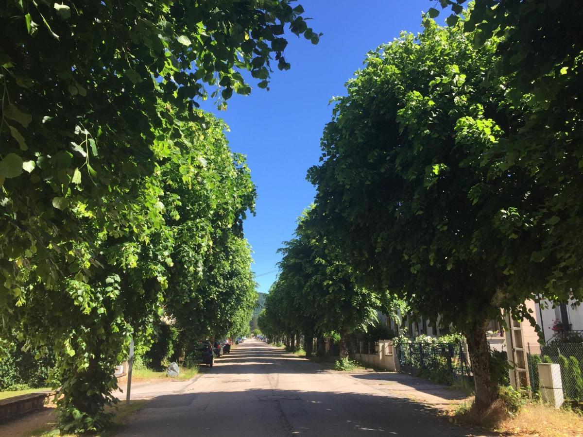 Le Gite De Brigitte ! Saint-Die-des-Vosges Экстерьер фото