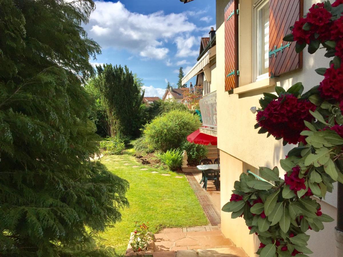 Le Gite De Brigitte ! Saint-Die-des-Vosges Экстерьер фото