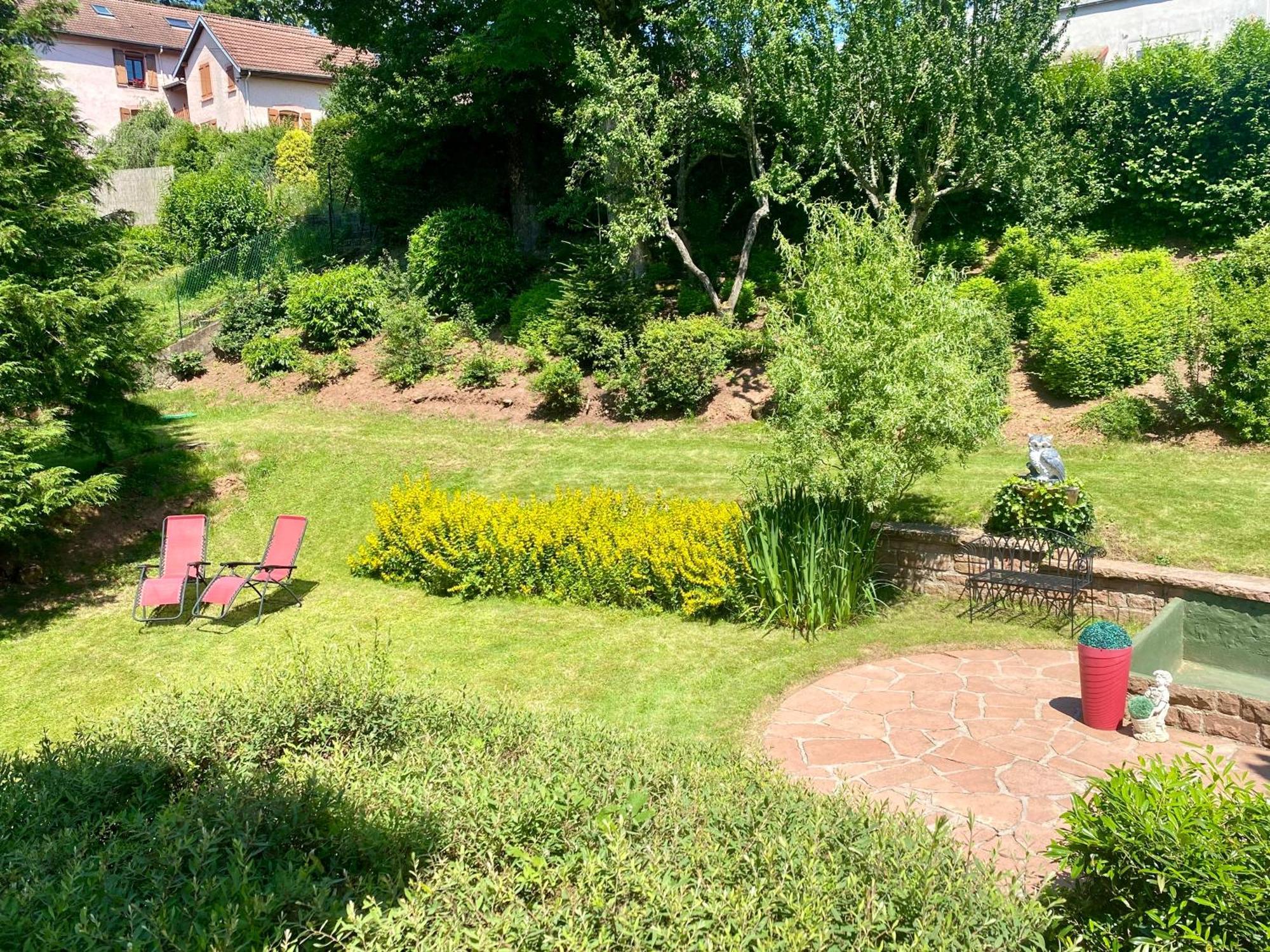 Le Gite De Brigitte ! Saint-Die-des-Vosges Экстерьер фото